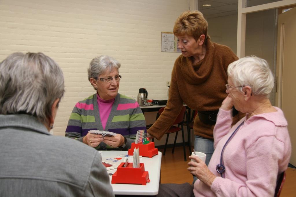 in de BPV-organisatie gebruikelijke werkwijze, zoals het keukentafelgesprek of de straatenquête.