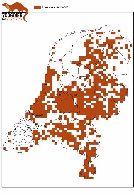 Deze publicatie is in opdracht van het ministerie van EZ 1.5 Verspreiding en aantalontwikkeling De rosse vleermuis komt verspreid over ons land voor (figuur 5).