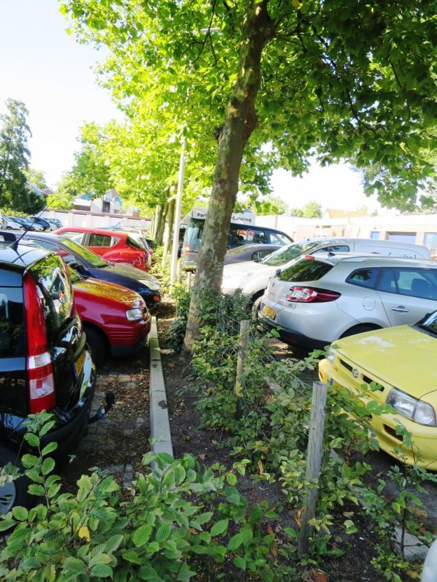 Wat kan: Haal stukken asfalt weg. Kies voor de parkeerplaatsen voor bestrating met stenen en op plekken zo dat er gras kan tussen groeien. Zet groenblijvende struiken neer en plant er bomen.