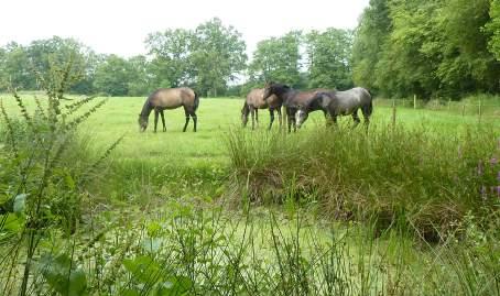 Impressie bestaande situatie Het beeldkwaliteitplan heeft als doel het bieden van en kader ter inspiratie, referentie en toetsing voor de uitwerking van