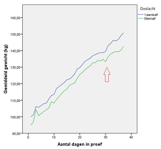 3.3.2 Het verschil in groei tussen stier- en vaarskalveren Het begingewicht van de vaarskalveren is een beetje hoger wanneer de proef begint.