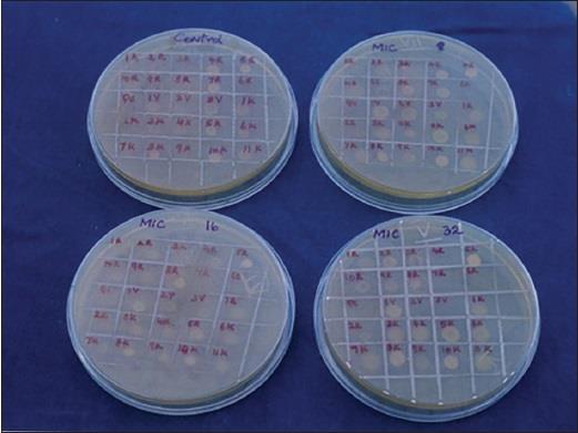 tabletten met penicilline (Hoyt & Levine) Agar dilutie technieken (Smith &