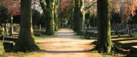 LOCATIE DAALSEWEG Begraafplaats Daalseweg Graven met een bijzonder verhaal Ontdek het stenen archief van Nijmegen Ongeveer 25.