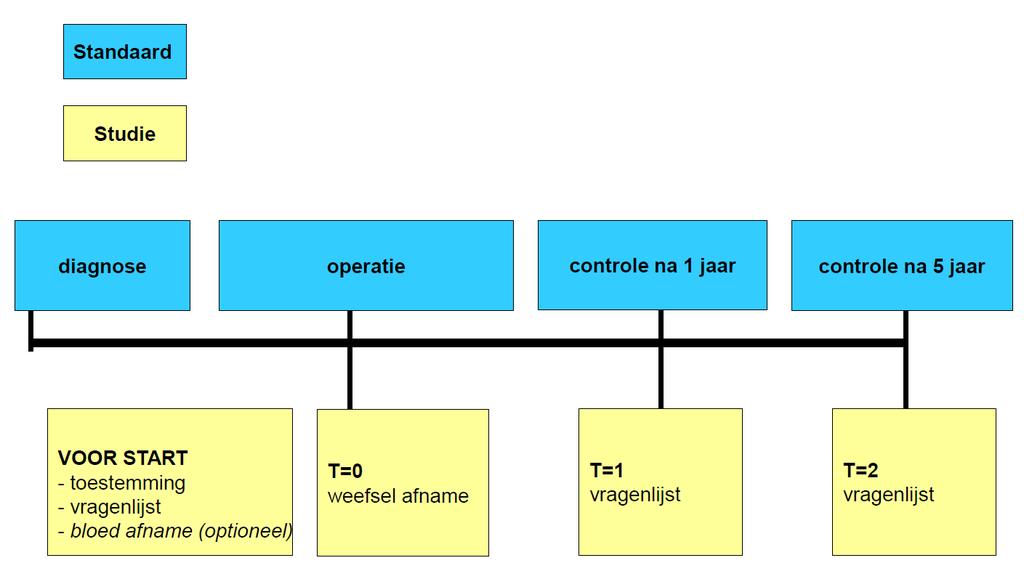 Prospectieve registratiestudie voor mannen met borstkanker in Nederland Een studie van de Borstkanker Onderzoek Groep (BOOG); BOOG 2013-02 BIJLAGE (bij patiënteninformatie): Studieschema In