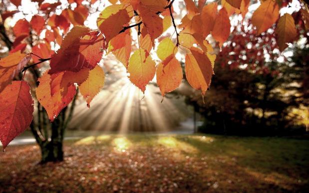 Van de voorzitter Beste Leden, De zomervakantie zit er voor de meesten van ons weer op en de OVC maakt zich weer op voor de herfst en winteractiviteiten.