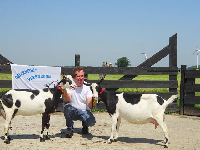 vergadering en hete iedereen van harte welkom Een speciaal welkom voor de heer Ad Taks van SZH Ook weer wat nieuwe gezichten in de zaal Er waren 9 afmeldingen Daarna werd de geiten stapel van Henk