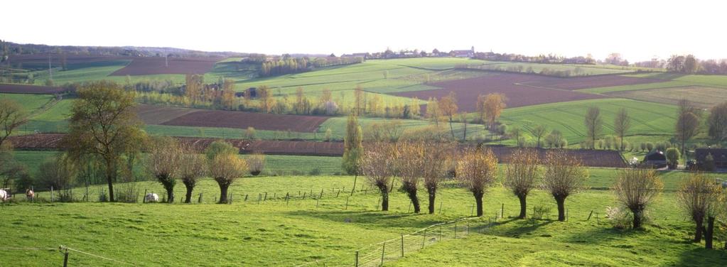 Kleine landschapselementen Zijn van groot belang als