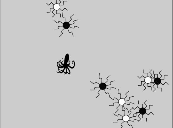 Figuur 4: 4 types afleiders De kritische stimulus was ofwel een schematische spin (75 x 121 pixels; zie figuur 5 links) ofwel een schematische octopus (97 x 116 pixels; zie figuur 5 rechts).