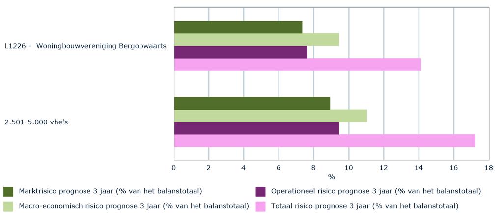 in Perspectief Versie I, verslagjaar Afbeelding