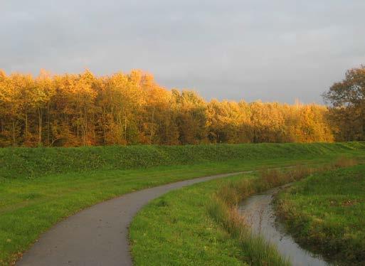 : boomvalk, cetti s zanger, groene specht, Gebiedsbeheerder: Staatsbosbeheer/ waterschap Brabantse Delta Doorsnijding: 7,5 km (icm Weimeren, Rooskensdonk en Haagse Beemdenbos) Status: NNN Omvang: 200