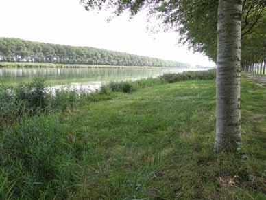 ie lag logischerwijs op het Bathse Spuikanaal. Iedere keer dat ik over de A58 Zeeland in of uit reed, passeerde ik immers de dubbele brug van het Spuikanaal en vervolgens het Schelde- Rijnkanaal.