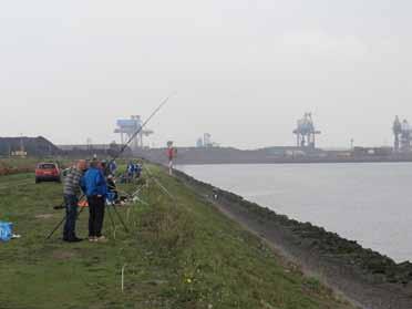 SPORTVISSERIJ ROTTERAMSE HAVEN ONER RUK e bevisbaarheid van de Europoort en Maasvlakte staat onder druk.