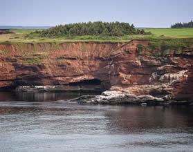 Canada, kunt u eerst nog genieten van een sightseeing tour door Boston. De tour voert u langs tal van historische gebouwen die een rol speelden in de vroege geschiedenis van de Verenigde Staten.