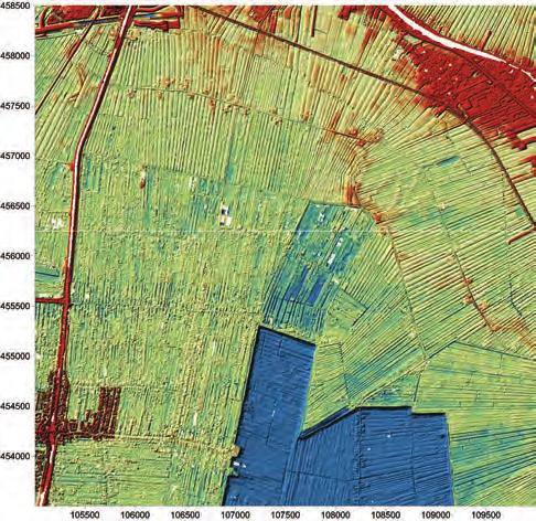 POLDER RIJNEVELD De producent De authentieke boomkwekerij bestaat uit land voor teelt in de volle grond met een klein areaal lage kassen in de vorm van houten of betonnen stekbakken.