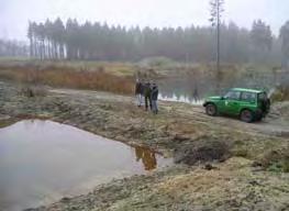 Door recente verdere uitbreiding en inrichting van dit gebied door Vereniging Natuurmonumenten lijken de nieuwe kansen al klaar te liggen.