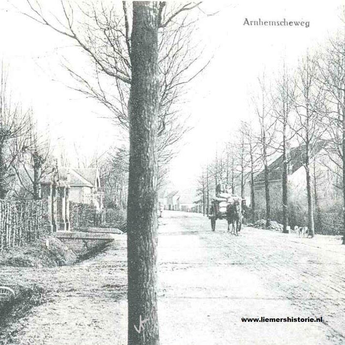 De Arnhemseweg heeft op sommige stukken nog het profiel dat kenmerkend is voor de oude rijkswegen: de weg ligt iets hoger in het landschap en wordt begeleid met laanbomen.