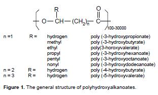 PHA families Algemene struktuur van Polyhydroxy- alkanoaat (PHA) PHB (Polyhydroxy-butyraat 4 koolstof atomen in keten) PHV (Polyhydroxy-valeraat 5