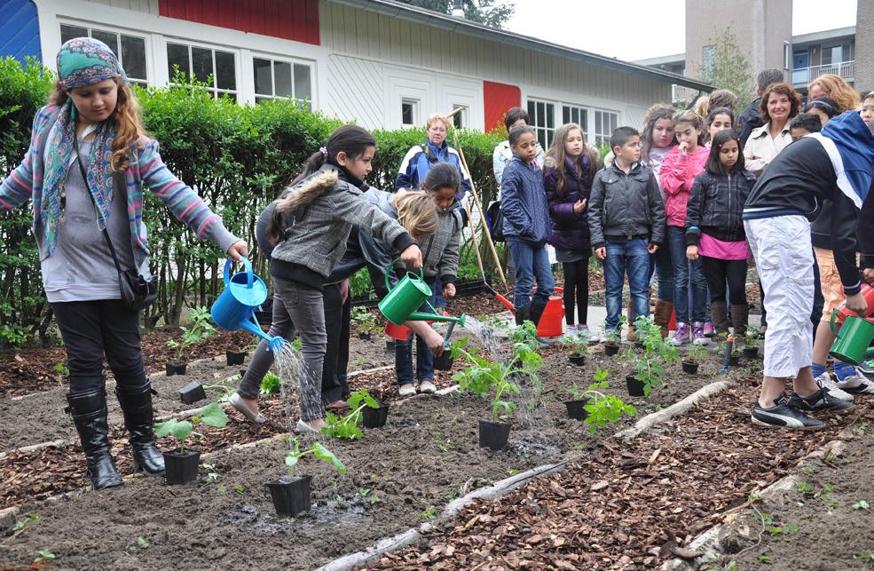 Door de betrokken organisaties kunnen, in samenwerking met de nutstuinders / bewoners ook evenementen georganiseerd worden, zoals een oogstfeest, het Film & Foodfestival, maar ook periodieke