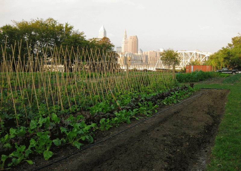 Met andere woorden het benutten van de beschikbare tijd, die door het uitstellen van de bouwplannen voor de Sluisbuurt is ontstaan, door de ontwikkelingen op een laag tempo nu al in gang te zetten.