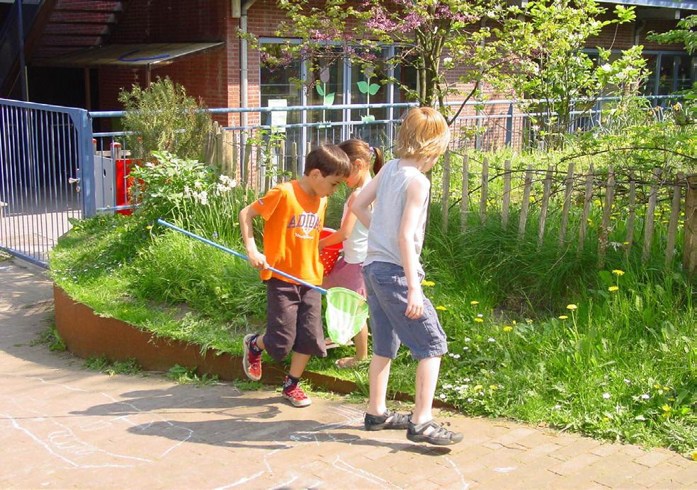 Het is de bedoeling dat een gedeelte van het terrein later omgevormd / ontwikkeld wordt als een collectieve zelfbouwbuurt voor en door de Nutstuinders.