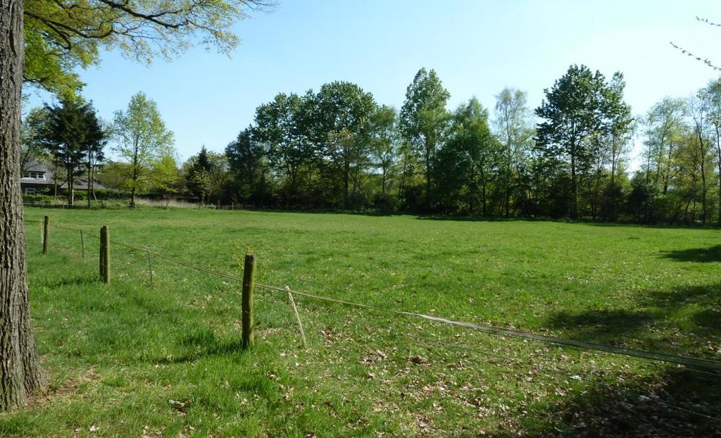 13 Concluderend kan worden gesteld dat: De herinrichting van het plangebied geen nadelig effect zal hebben op beschermde natuurgebieden in de omgeving.