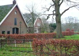 Woningen aan de zuidhoek Oorspronkelijk behoort dit gebied bij het buitengebied.