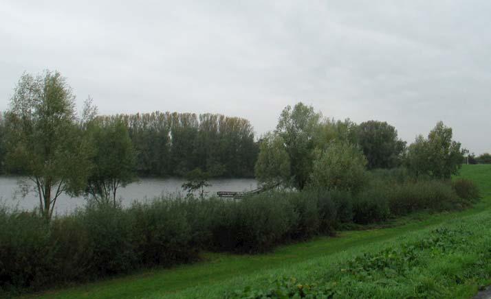 De rivier is uit het zicht. Vanaf de dijk geeft de uiterwaarde een bijzondere natuurbeleving.