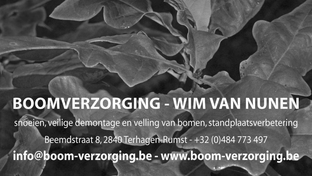 03 844 00 36 Info@KBvochtbestrijding.