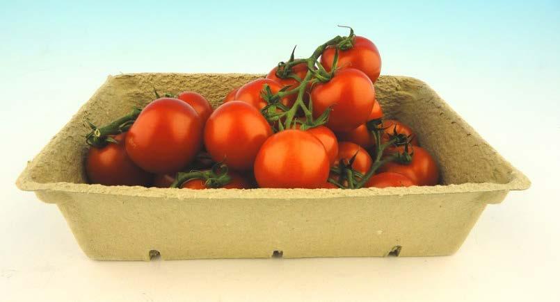 38 recyclebaar als oud papier. Een ander voorbeeld is tomatentrays die worden gemaakt uit de resten van tomatenplanten.