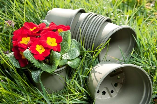 84 7.6 Sierbloemen, planten en bomen De tuinbouw is een drijvende kracht voor de ontwikkelingen van biologische afbreekbare materialen en producten.