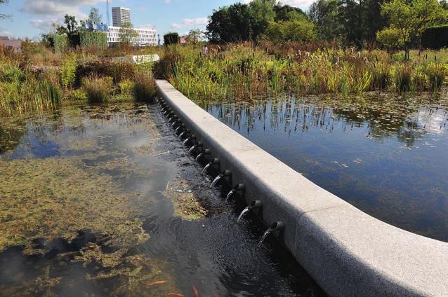 De tuin is met het substraat, de filterlagen en de drainagelaag in combinatie met de vijverlinie zodanig ingericht dat er sprake is van waterretentie, filtering en hergebruik van regenwater.