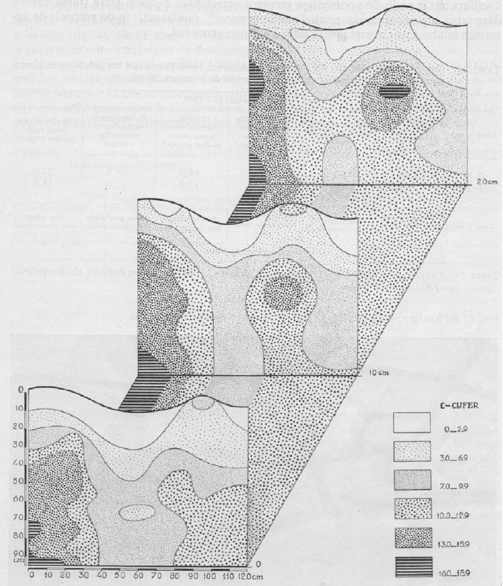 Figuur 13 Kenmerkende verdeling van het C-cijfer, te weten de zoutconcentratie in gram per 1000 gram bodemwater ( 1 liter bodemwater) op korte afstanden in een bodemsegment met afmetingen 1,2 1,0 0,2