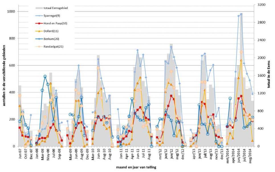Passende Beoordeling COBRAcable Figuur 4.7: Resultaten van de tellingen van gewone zeehonden voor de jaren 2007-2014.