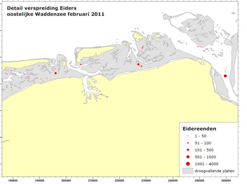 Passende Beoordeling COBRAcable schelpdierenbanken aangetroffen, zie ook Figuur 4.15.