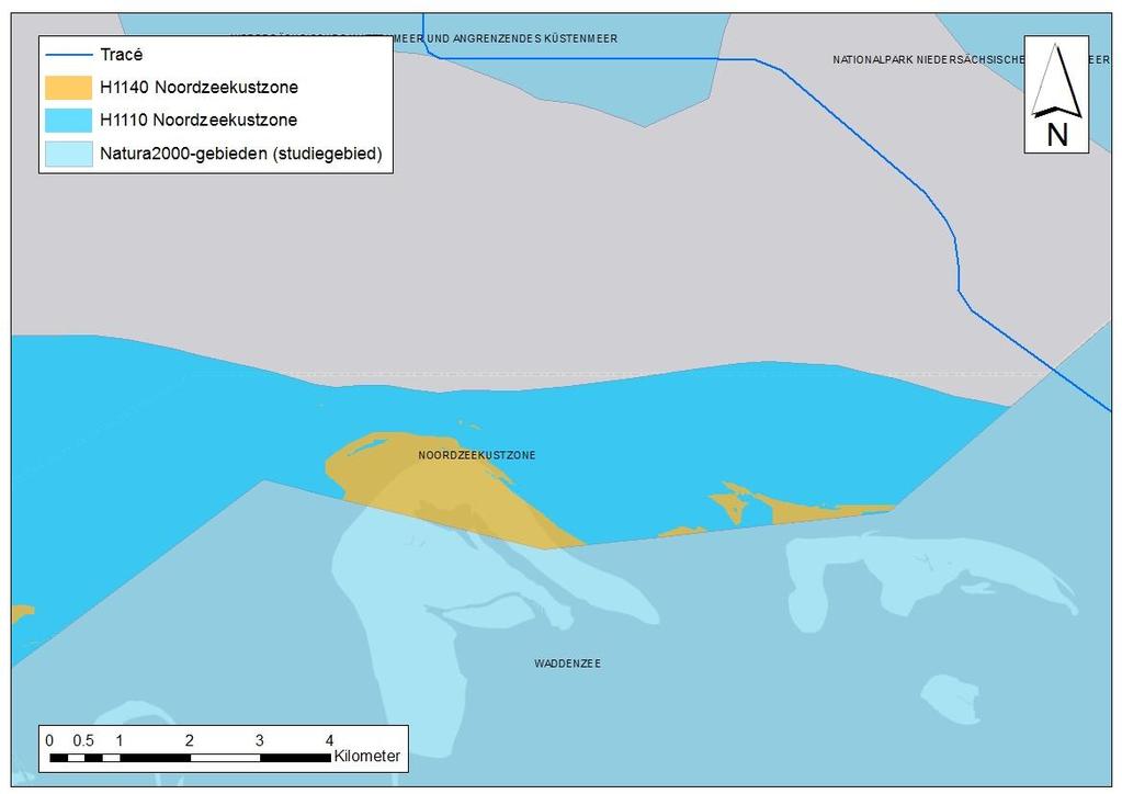 Passende Beoordeling COBRAcable Figuur 4.16: Habitattype H1110 en H1140 in de Noordzeekustzone. 4.3.3 HABITATSOORTEN 4.3.3.1 ZEEZOOGDIEREN Bruinvissen In het Natura 2000-gebied Noordzeekustzone komen bruinvissen voor.