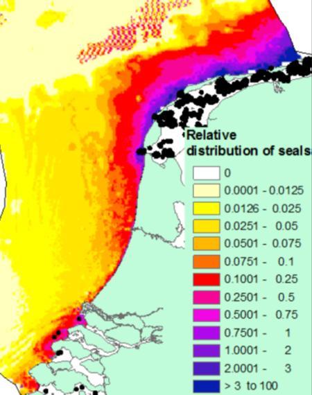 Interconnector Cobracable Nederland-Denemarken Milieueffectrapport - DEEL B Afbeelding 21: Gemodelleerde voorspelling van relatieve zeehondendichtheid op basis van habitatkenmerken op het NCP volgens