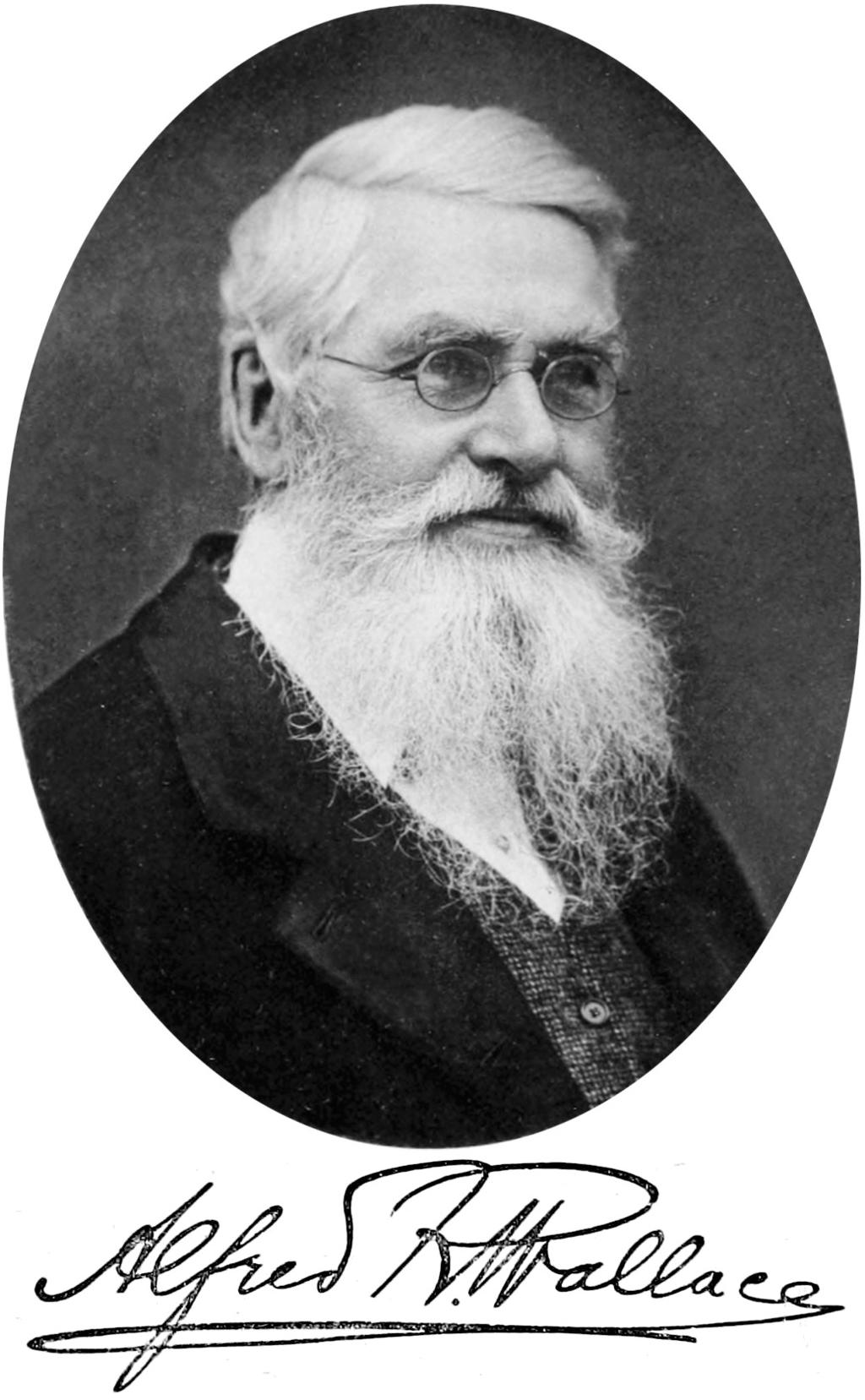 Wat veel mensen niet weten is dat Darwin niet de enige was met ideeën over evolutie. Iemand die rond dezelfde tijd als Darwin dezelfde theorie ontwikkelde was de bioloog Alfred Russel Wallace.