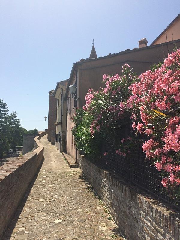 We wandelen over de Via Mura al Mare (met aan de horizon, achter de glooiende heuvels, de zee) en over de Via