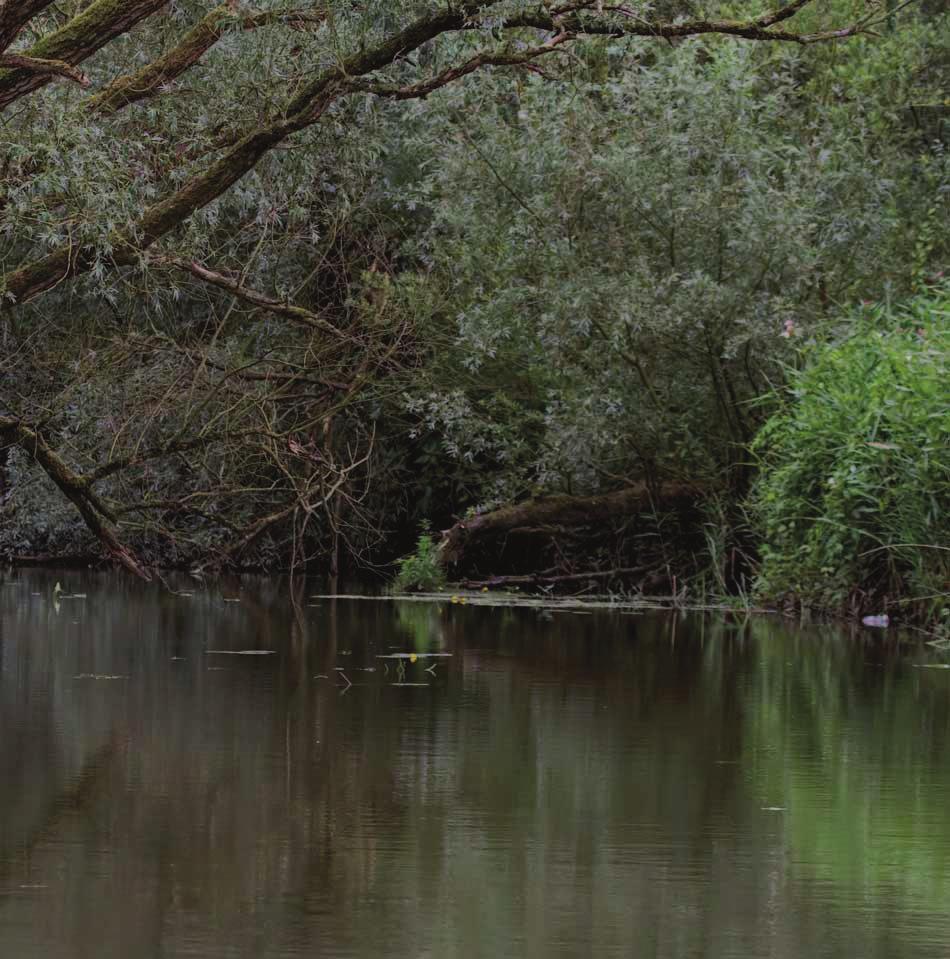 DE BIESBOSCH OP LOCATIE Het Nationaal Park de Biesbosch is het enige zoetwatergetijdengebied in Europa.