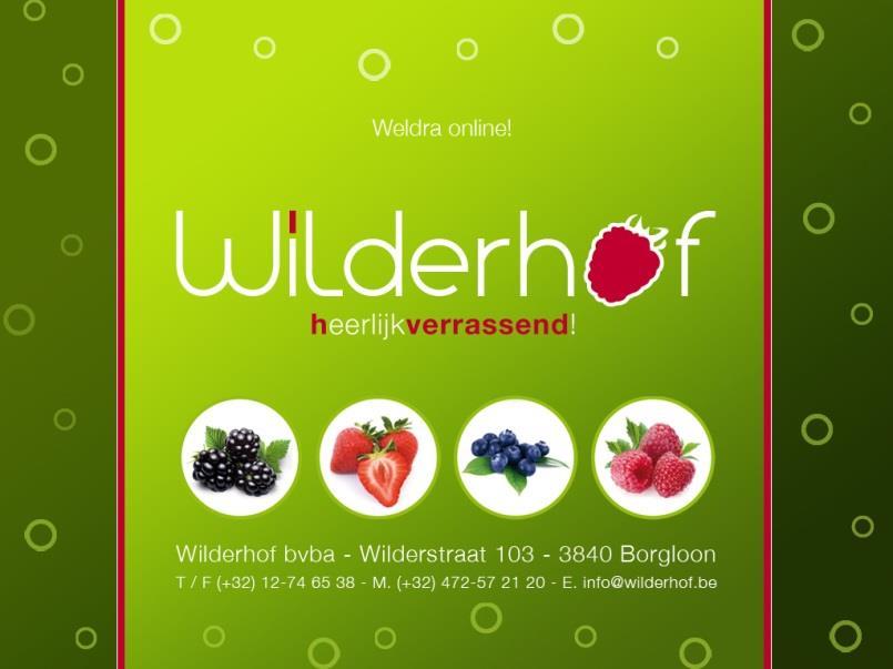 september om 10.30 u. Veiling BelOrta is een veiling van groenten en fruit, waarvan de site Borgloon wereldwijd gerenommeerd is als veiling voor Belgische aardbeien en kleinfruit.