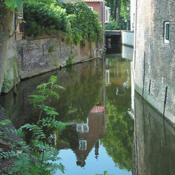 (ondernemer TvV) Je kunt met [het] entree[bewijs van] de kerk gratis het museum[gouda] in. De kartons van de Goudse Glazen worden voor een deel gerestaureerd in het museum, dus die link ligt er ook.