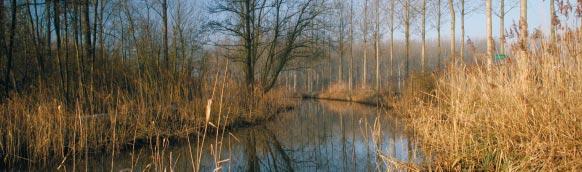 3 Inhoudsopgave De natuur kan het niet meer alleen De natuur kan het niet meer alleen 3 Een ramp voor fauna en flora 4 Zuiveren is de oplossing!