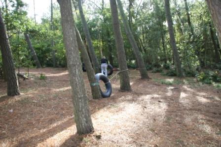 POST 21 TRAKTORBAND KRUIPEN. Aan de linkerkant van dit paadje staan 5 bomen met een tussenruimte van ong 4 meter.