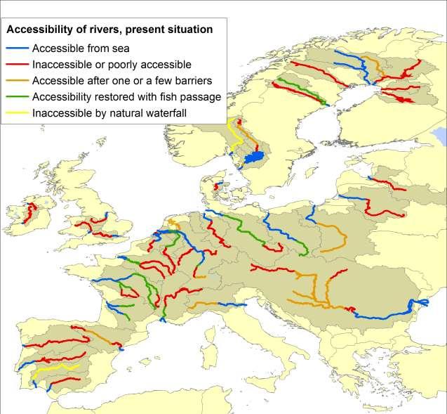 Heden Europese stroomgebieden P.J.T.M. van Puijenbroek, M.J. Kroes, P.F.M. Verdonschot, T.