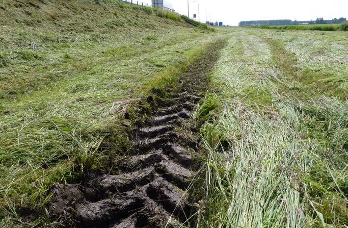 Hiermee waren alle bloemen in een klap weg en hadden de bijen geen voedsel meer.