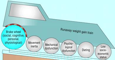 23, 25) The runaway weight train (Swinburn & Egger BMJ 27) The runaway weight train