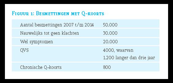 In het boekje 'Leven met Q-koorts, het dagelijkse gevecht', gepresenteerd op 20 juni 2016, heeft Q-support de gevolgen van de infectie in het dagelijks leven van Q-koorts patiënten beschreven 16.