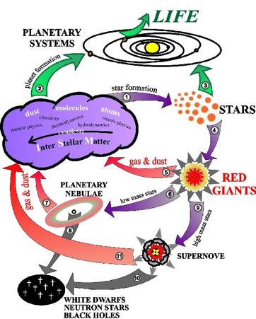 Waar komt het stof vandaan? Complexe levenscyclus Stof wordt geproduceerd in de atmosferen van koele sterren (rode reuzen, AGB sterren).