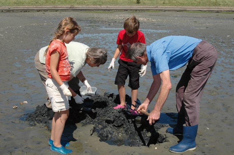 18 19 Waterkracht De belemmering van vismigratie door waterkrachtcentrales heeft ook in 2008 de volle aandacht gehad.