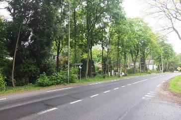 Deelgebied 1 Driebergsestraatweg/Oude Rijksstraatweg Aan weerszijden van de Driebergsestraatweg